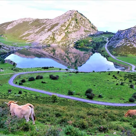 Σπίτι διακοπών Aire De Asturias - Picos De Europa - Jardin 6 Pax Canales (Asturias)